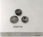 Click for 1 image(s) for this accession. FRUIT